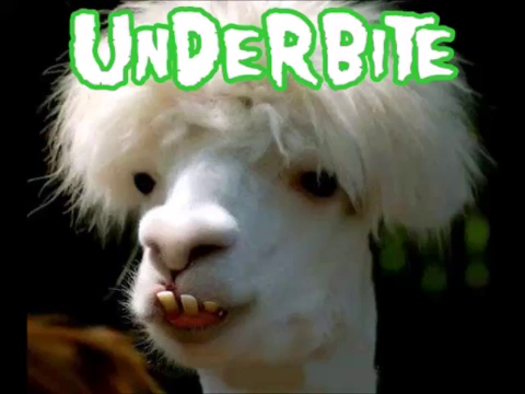 I turned into a haider - Underbite